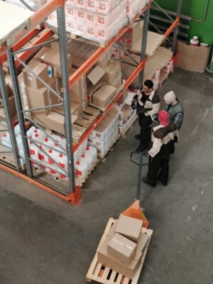 pexels-tiger-lily-4481258